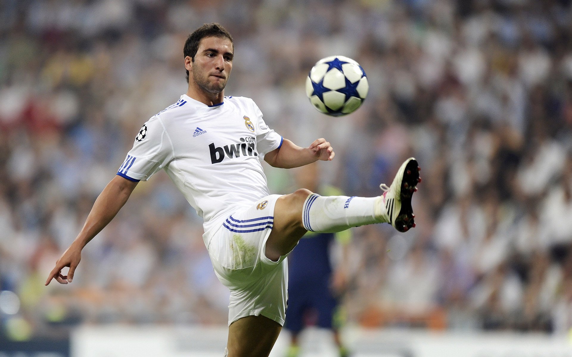 技术巅峰：历年比赛中的革新技术盘点，技术革新项目及获奖情况